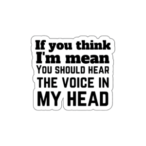 If you think I'm mean you should hear the voice in my head